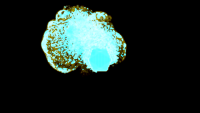 /album/turbulencefd1/ohniva-gula-1-png1/